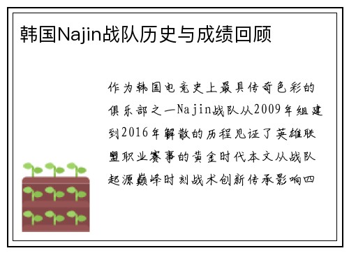 韩国Najin战队历史与成绩回顾